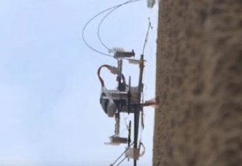 Тік қабырғаға қонып-ұша беретін инелік-дрон жасалды (ВИДЕО)