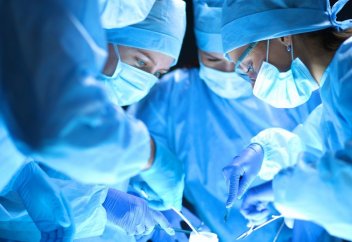 Бір ота кезінде тұңғыш рет 4 ағза қондырылды