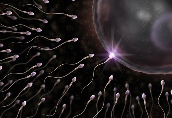Ғалымдар жеңімпаз сперматозидті қалай анықтау керектігін үйренді