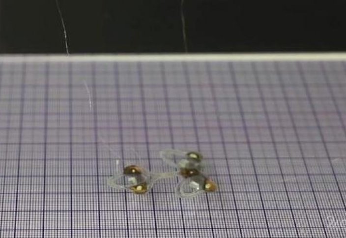 Инженерлер «өлмес» робот-шыбын жасады (видео)