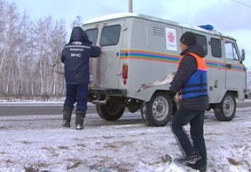 Жауарлар әлемі: Петропавлда сүңгуірлер 6 аққуды құтқарды (фото)