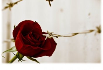 Терпи, душа моя!