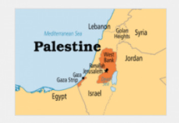 "Израильские" оккупационные силы жестоко атаковали и арестовали мусульманку из Палестины вчера, и сняли с неё