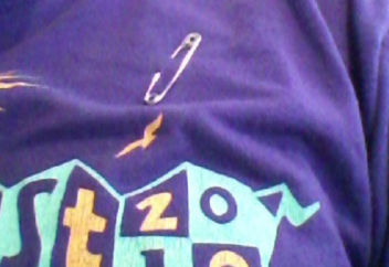 Мыдаған британдық мұсылмандарды қорғауға арналған шарадан шет қалмады (Фото)