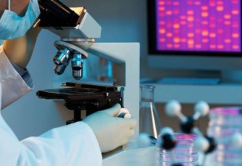 Самый высокооплачиваемый труд в РК — интеллектуальный