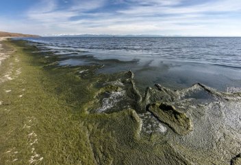 Әлемдегі жағалаудың тек 16%-ы ғана адам әрекетінен бүлінбеген