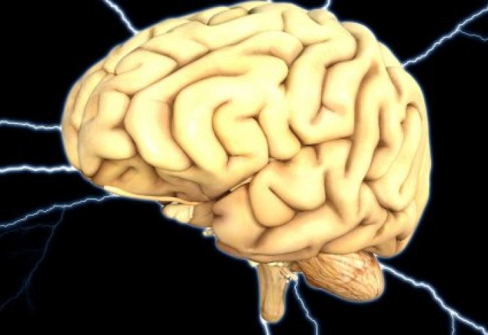Ученые нашли генетическую программу старения мозга человека
