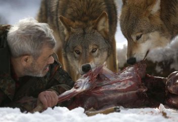 Қасқырлардан қорықпайтын 80 жастағы қария