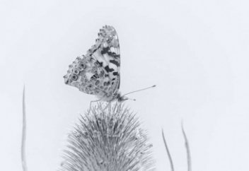 5 притч о внутренних настройках