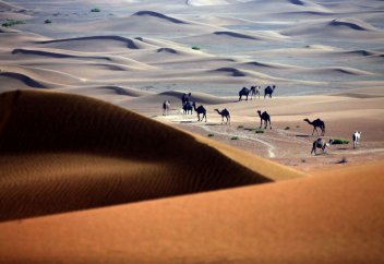 Түйе мінгендер де Google Maps операторына айналды