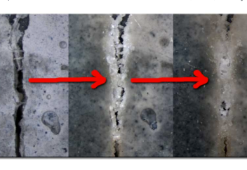 Жарықшақ пайда болғанда бактериялар көмегімен қалпына келетін бетон жасалды
