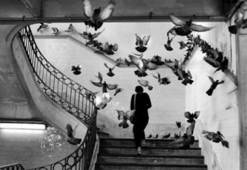 6 психических расстройств, которые принимают за черты характера