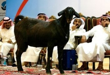 Ханзадалардың басына қара бұлт үйірілді