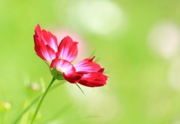 Ұстазымның ұстанымы