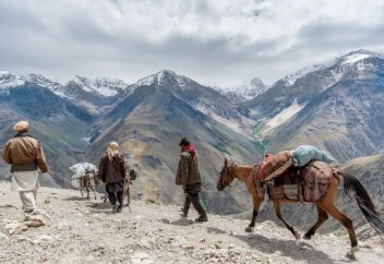 Тәліптер шетелдік туркомпаниямен келісім-шартқа отырды