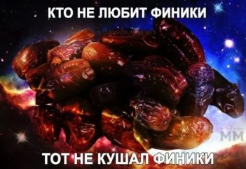 Құрманың біз біле бермейтін сырлары