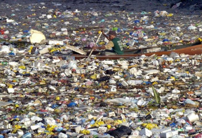 Теңізде балық көп пе әлде қоқыс көп пе?