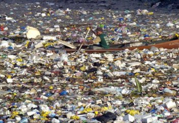 Теңізде балық көп пе әлде қоқыс көп пе?