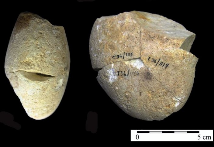 Найден инструмент, созданный за 150 тысяч лет до появления человека
