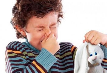 Сколько опасных игрушек изъяли в Казахстане в 2018