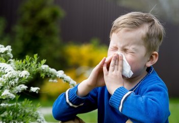 ДДСҰ: ӘЛЕМДЕ 40% АДАМ АЛЛЕРГИЯДАН ЗАРДАП ШЕГЕДІ