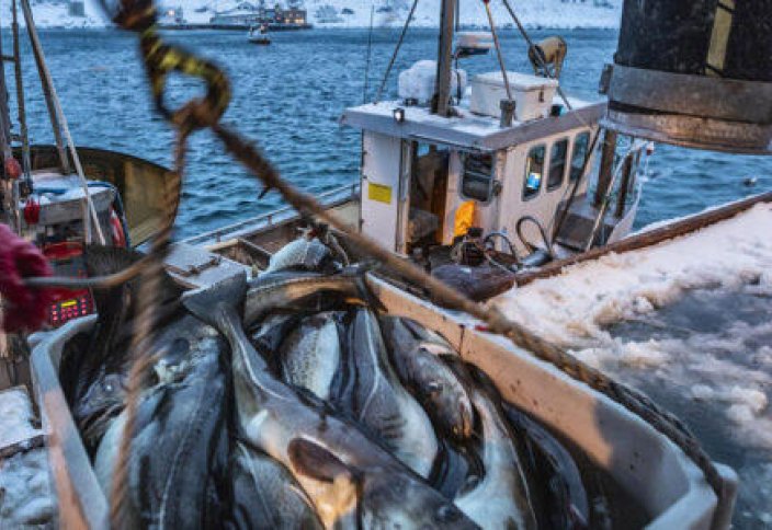 Пакистан запустит национальную политику в области рыболовства для увеличения экспорта и устойчивости