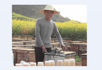 Как китайцы делают свой (поддельный) мед