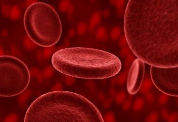 Жасанды қан жасалуы мүмкін