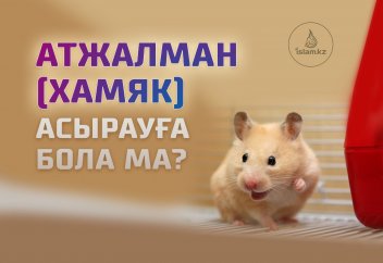 Атжалман (хомяк) асырауға бола ма?
