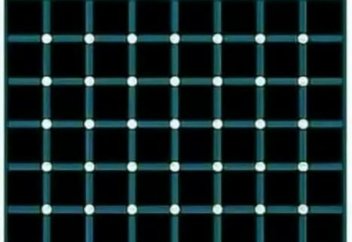 Әлемдегі ең атеист ел белгілі болды