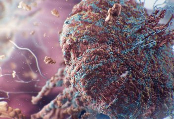 Онкологиялық аурудың жаңа биомаркері белгілі болды. Улы ағаштан қатерлі ісікке қарсы белсенді қоспа табылды