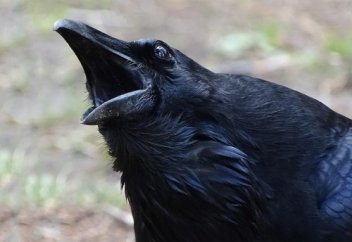 Следите за тем, как к вам относятся другие люди – это показывает их истинную сущность