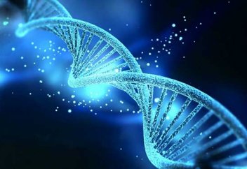 Генетикалық ақпаратты сақтайтын, ұрпақтан ұрпаққа табыстайтын жалғыз қайнар – ДНК емес...