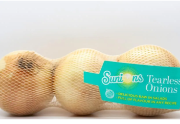 Лук без слёз возвращается на прилавки британских супермаркетов