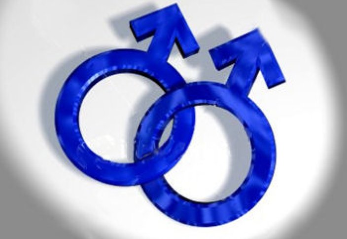 В Литве признали право однополых пар на партнерство