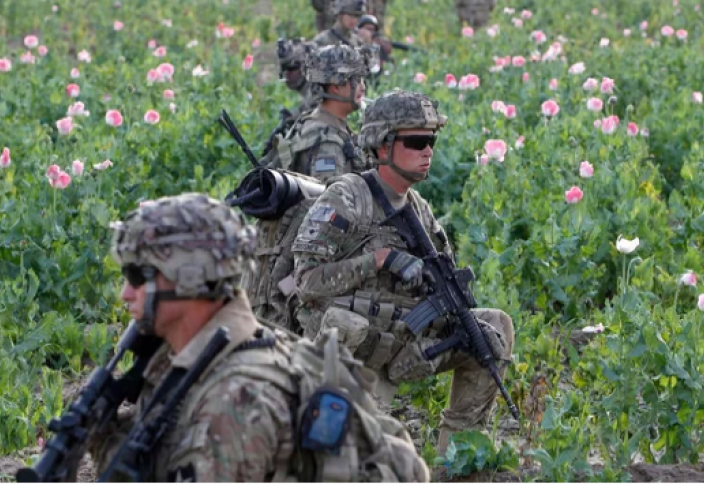 Героиновые войны: почему Афганистан непокорим