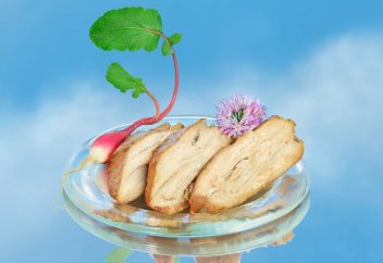 Solar Foods технологиясы ауадан жеуге жарамды ақуызды алуға мүмкіндік береді (видео)