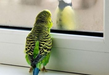 Казахстан: межнациональная рознь не пройдет!