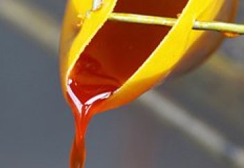 Какаодан кейін қымбаттаған азық түрі аталды