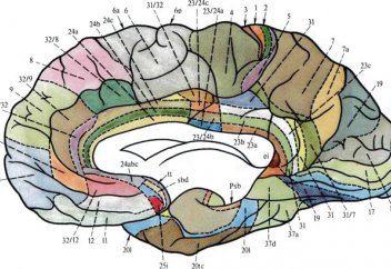 Деменция: 3 способа замедлить старение мозга