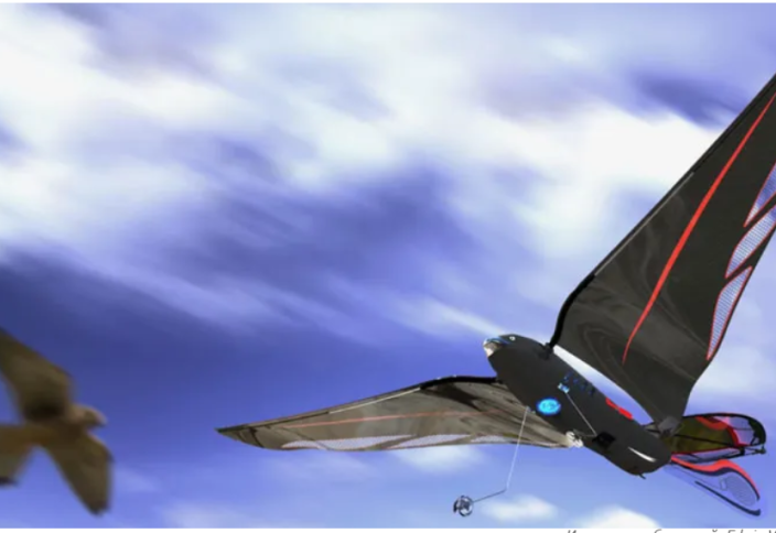 Cмартфонмен басқарылатын, сағатына 31 шақырым жылдамдықпен қозғалатын, салмағы 10 грамм тартатын робот құс (видео)