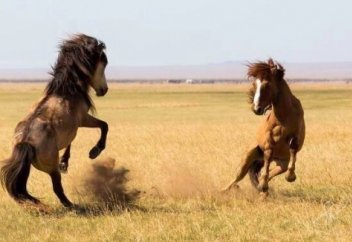 Адам қабірге аттанса....