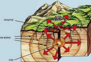 В Турции разработан устойчивый к землетрясениям материал