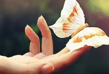 Имам Матрудидің пікірінде