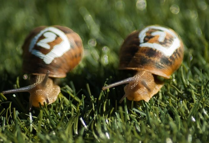 Отказ от конкуренции: допустимость и риски применения таких положений