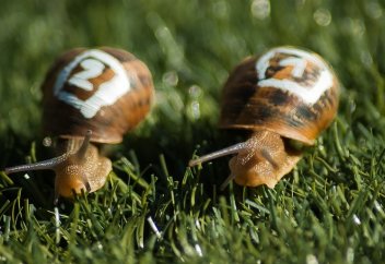 Отказ от конкуренции: допустимость и риски применения таких положений