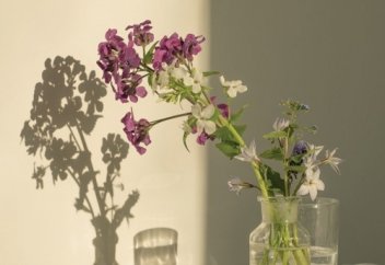 «Я режу помидор, ощущаю его кожицу и думаю о том, где он рос». Что такое slow life и зачем люди живут медленно в постоянно ускоряющемся мире