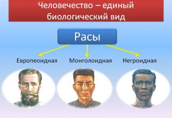 Существуют ли расы в биологическом смысле. Европеоидная, монголоидная и негроидная: как появились человеческие расы?