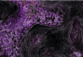 Два новых исследования пролили свет на тайну возникновения РНК и ДНК