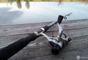 Сроки запрета на рыбалку в 2021 году в Казахстане